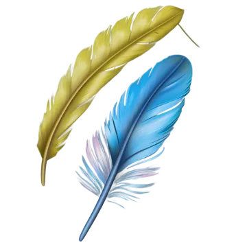 three feathers on a white background