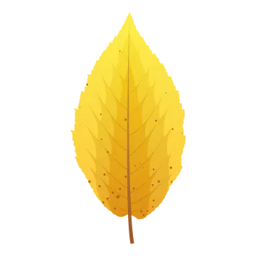 a yellow leaf with brown spots