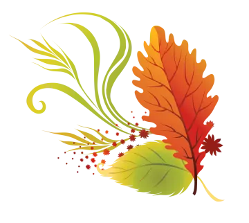 a leaf with autumn leaves on it