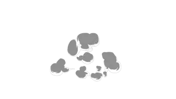 a black and white image of a group of people