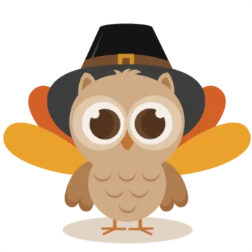 an owl wearing a pilgrim hat