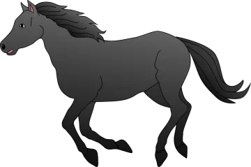 a black horse on a white background