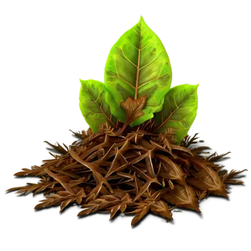 a pile of brown leaves on a white background