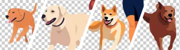 a group of dogs on a transparent background