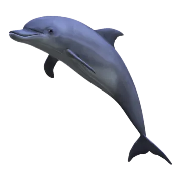 a dolphin jumping in the air on a white background