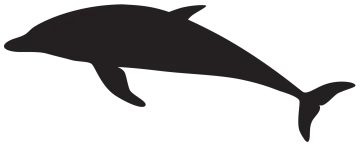 a black and white silhouette of a dolphin