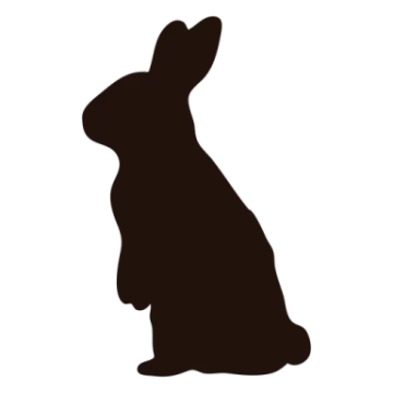 a silhouette of a rabbit