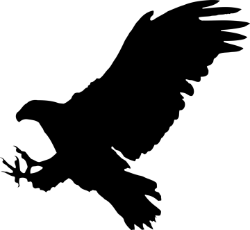 an eagle silhouetted on a white background