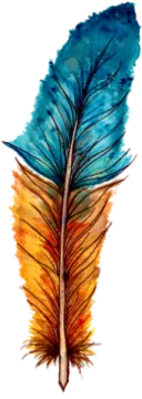 a watercolor feather on a white background