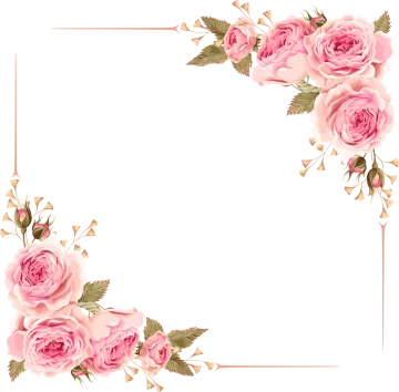 a floral frame with pink roses on a white background