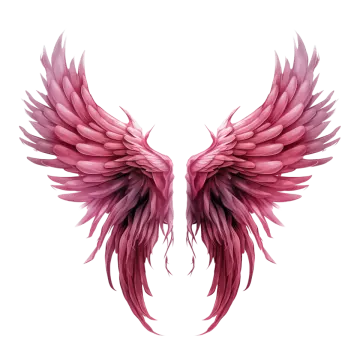 a pink angel wings on a white background