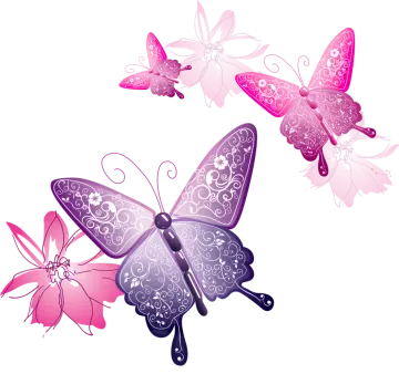 a group of butterflies on a white background