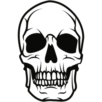 a black and white skull on a white background