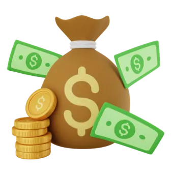 a bag full of money