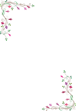 a white background with pink flowers and green leaves