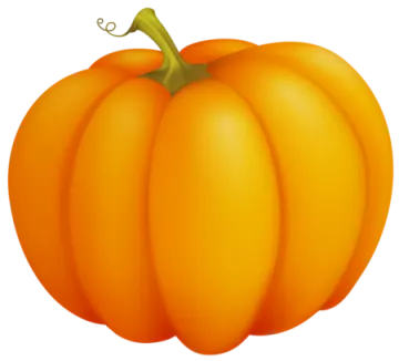 an orange pumpkin on a white background