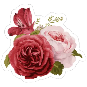a red and pink rose sticker