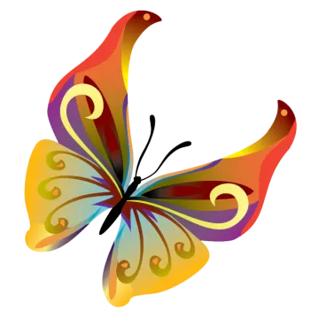 a colorful butterfly on a white background