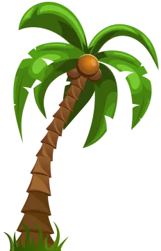 a palm tree clipart
