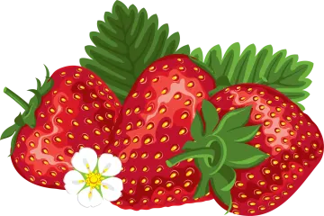 a bunch of strawberries on a white background