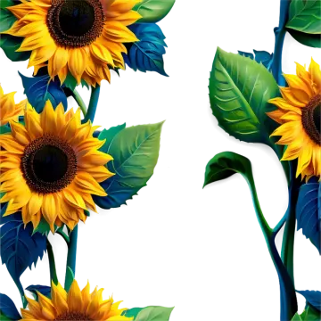 a bunch of sunflowers on a white background
