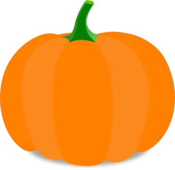 an orange pumpkin on a white background