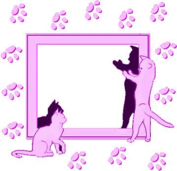 two cats are looking at a picture frame