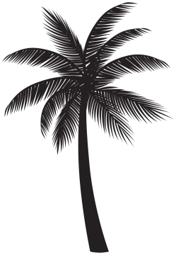a black and white silhouette of a palm tree