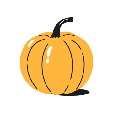 an orange pumpkin on a white background