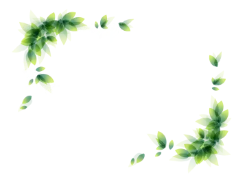 green leaves on a white background