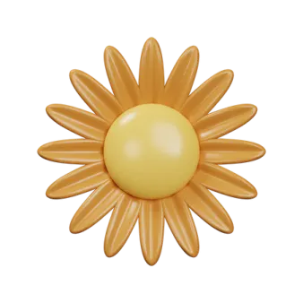 a yellow flower on a white background