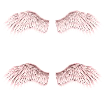 a set of angel wings on a white background