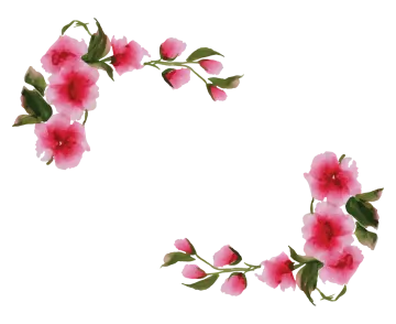 a pink flower frame on a white background