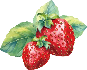 two strawberries with green leaves and red berries