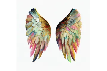 a watercolor painting of two colorful wings