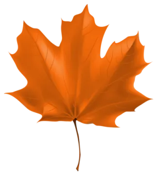 an orange maple leaf