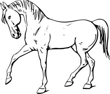 a black and white drawing of a horse