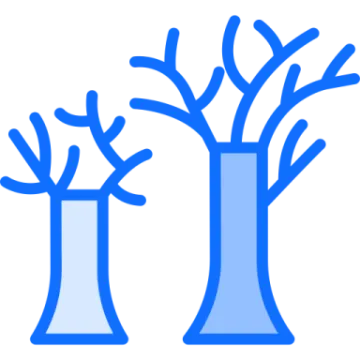 two vases with trees in them