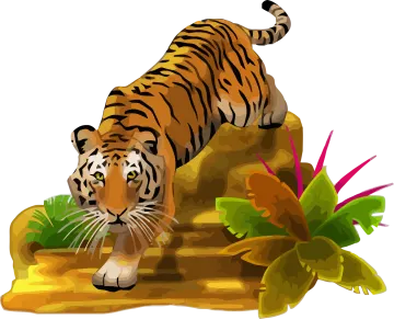 a tiger is walking on the ground