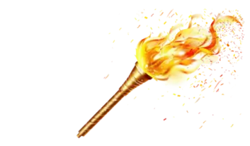 a close up of a fire stick
