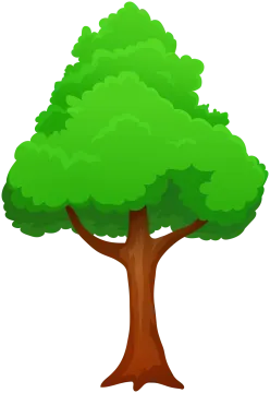 a tree with green leaves on it