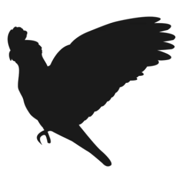a bird silhouetted on a white background