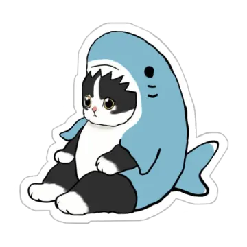 a black and white cat sitting on top of a blue whale