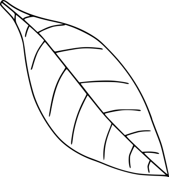 a black and white drawing of a leaf