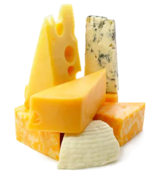 various types of cheese on a white background