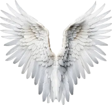 a white angel wings