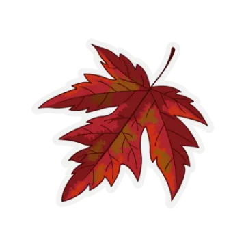 a red leaf on a white background