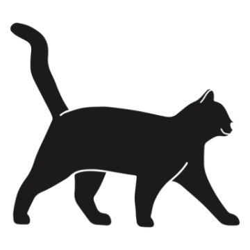 a black cat silhouetted on a white background
