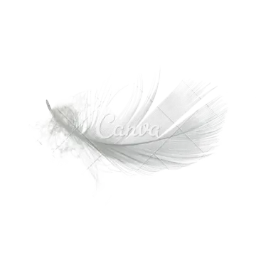 a white feather with the word love on it