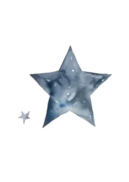 a watercolor painting of a star and a bird